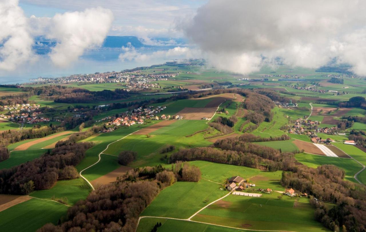 Guesthouse La Moliere, 3 Bedrooms, Private House, Horse Farm, Full Nature Murist Eksteriør bilde