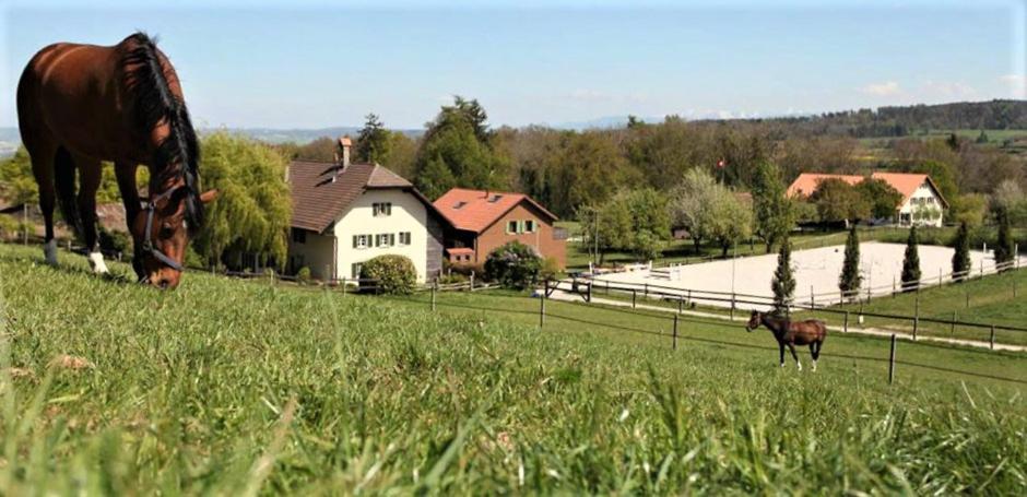 Guesthouse La Moliere, 3 Bedrooms, Private House, Horse Farm, Full Nature Murist Eksteriør bilde