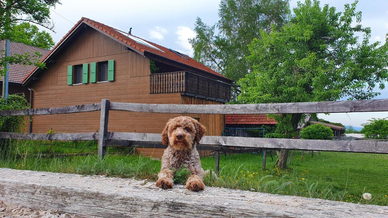 Guesthouse La Moliere, 3 Bedrooms, Private House, Horse Farm, Full Nature Murist Eksteriør bilde