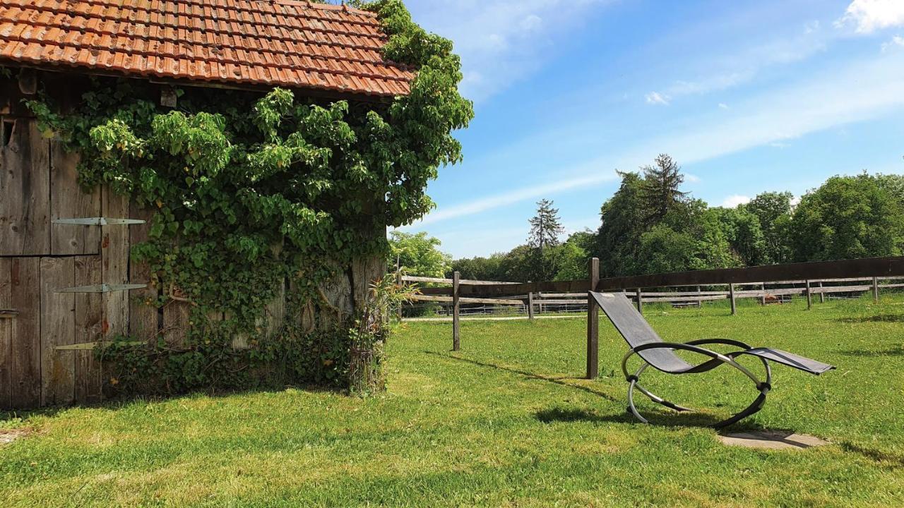 Guesthouse La Moliere, 3 Bedrooms, Private House, Horse Farm, Full Nature Murist Eksteriør bilde